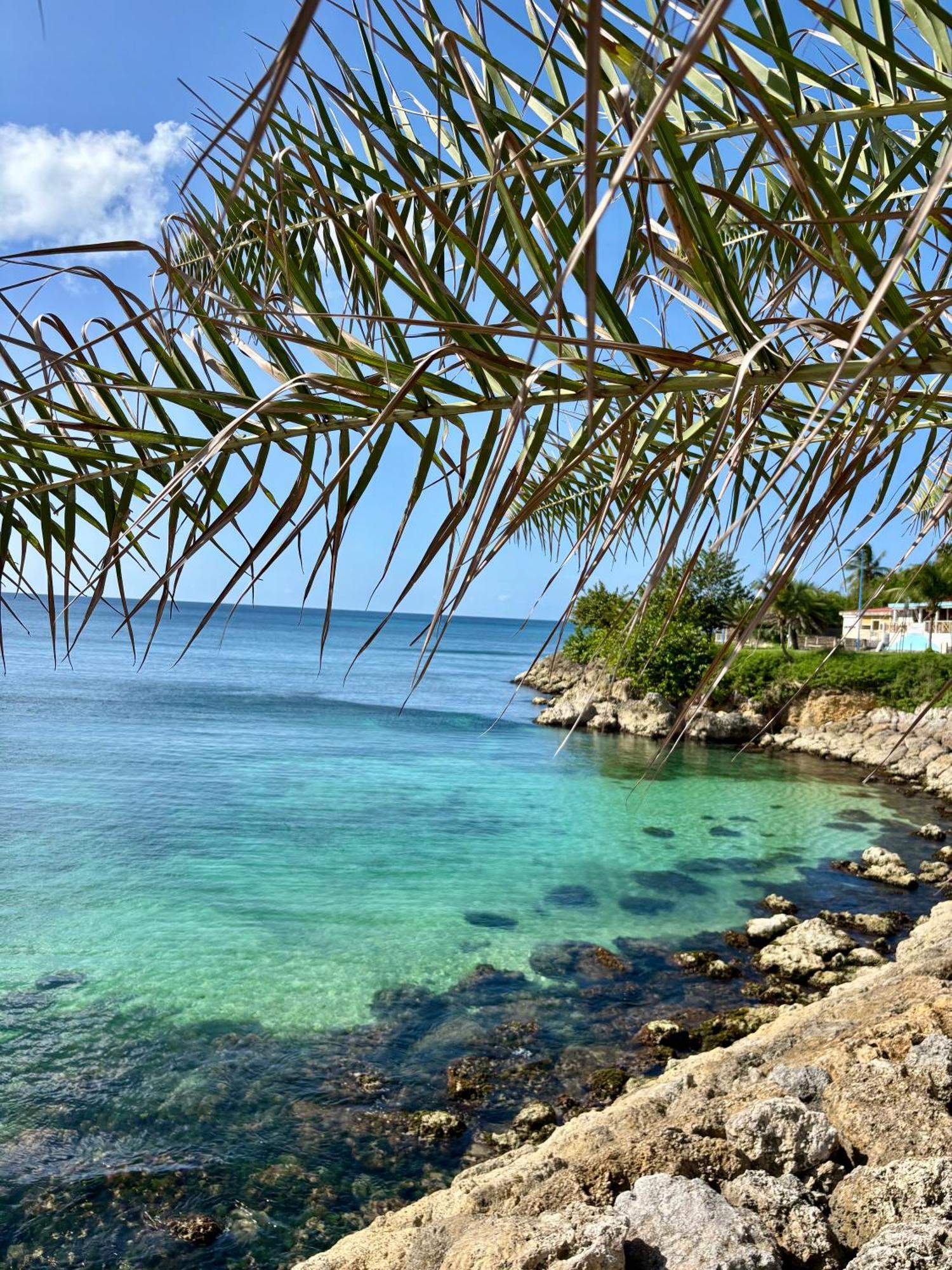 Gite Tournesol - A 2 Min De La Plage Et Du Bourg Anse-Bertrand Luaran gambar